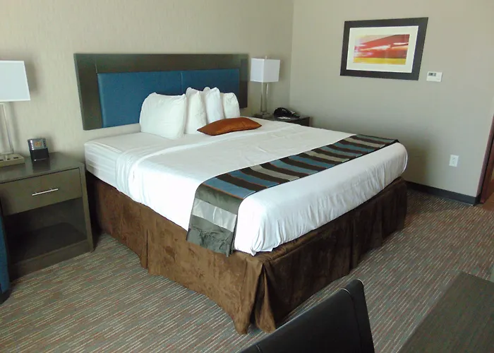 Wingate By Wyndham Lubbock