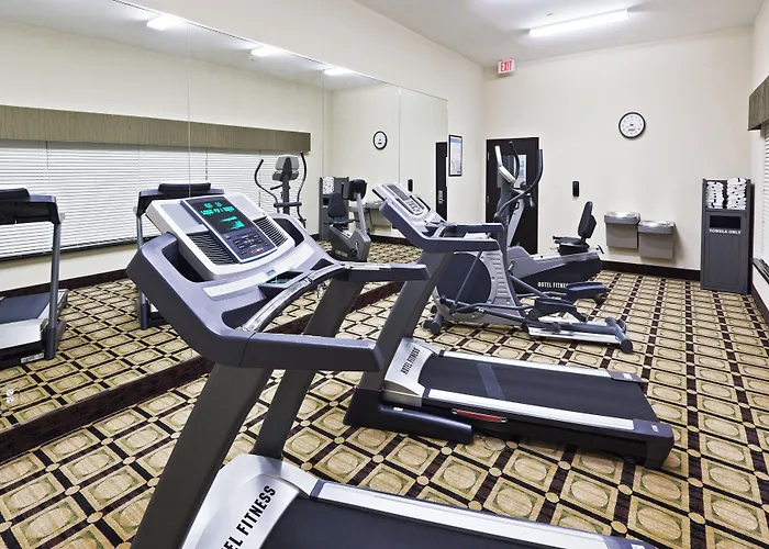 Holiday Inn Express & Suites Brownfield